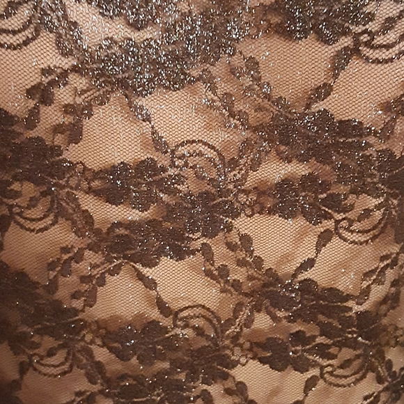 NWT Victoria's Secret Fashion Show black Shimmer Lace Bodysuit/Teddy - Picture 6 of 10